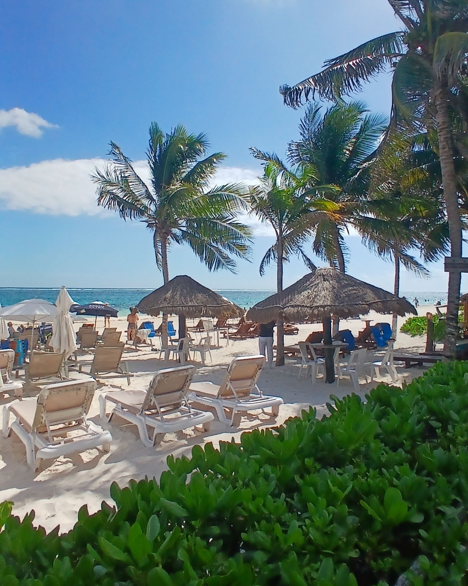 'Just Snorkeling' Beach Club